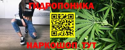 PSILOCYBIN Севастополь