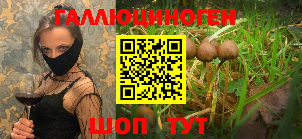 цены наркотик  Псилоцибиновые грибы Psilocybine cubensis  Реутов  Вход с VPN  Галлюциногенные грибы GOLDEN TEACHER 